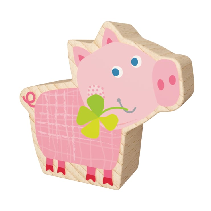My 1st Block World – Pig Rosali
