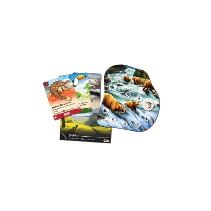Nature Promo Box