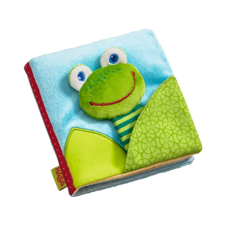 Fabric book Magic frog
