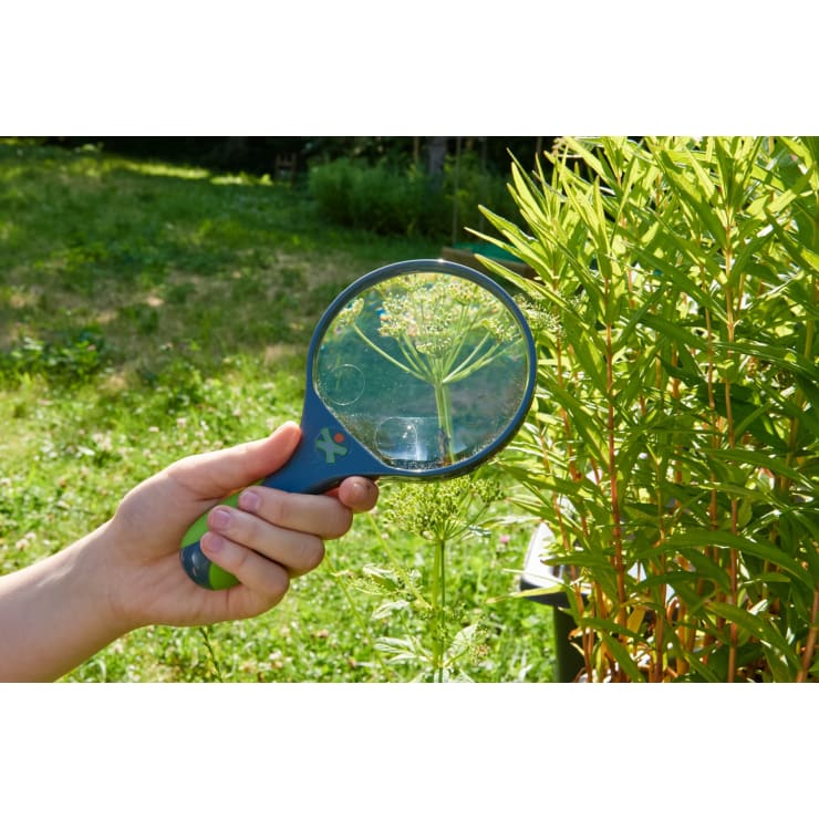 Eine Hand, die ein Vergrößerungsglas hält, vergrößert das Bild einer Grünpflanze im Freien und zeigt die Details des Blütenkopfes der Pflanze vor einem Hintergrund aus Blättern und Sonnenlicht.