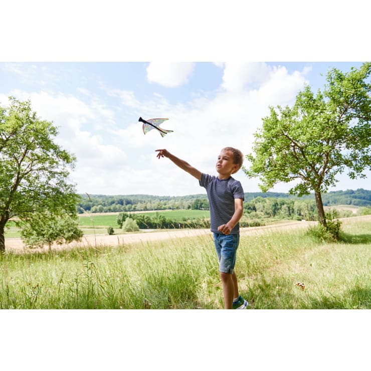 Ein kleiner Junge in einem gestreiften Hemd und Shorts wirft ein vogelförmiges Spielzeug in die Luft, während er auf einem grasbewachsenen Feld mit Bäumen und Hügeln im Hintergrund unter einem teilweise bewölkten Himmel steht.