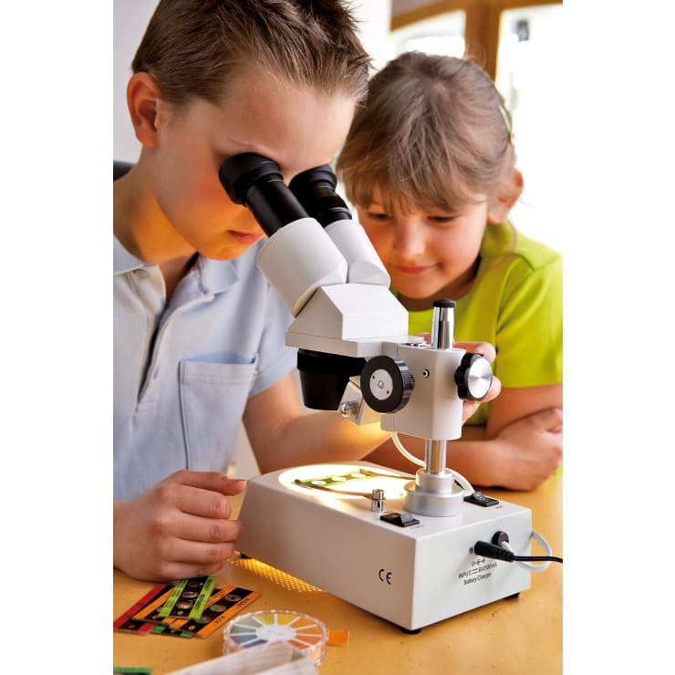 Ein Junge schaut durch ein Mikroskop, während ein Mädchen neben ihm zusieht. Sie sitzen an einem Tisch mit Mikroskop-Objektträgern und Werkzeugen. Beide Kinder wirken konzentriert und neugierig.