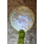 TK Taschenlampe (DE/E/F/NL/IT/ES)