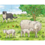Puzzles Bébés animaux de la ferme, 6SPA