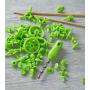 Terra Kids Connectors – Konstruktions-Set Technik