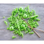 Terra Kids Connectors – Konstruktions-Set Waldhelden