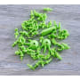 Terra Kids Connectors – Konstruktions-Set Dinosaurier
