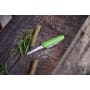 Terra Kids Kinder-Taschenmesser