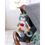 Entdeckerfigur Waschbär
