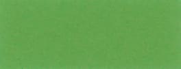 Tonpapier, grasgrün, 130g/m², 50 x 70 cm, 25 Bogen