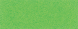 Tonkarton, hellgrün, 220 g/m²,50 x 70 cm,  25 Bogen