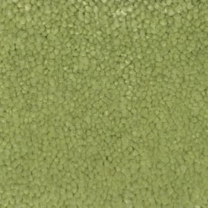 Teppich mit Umkettelung, 2 x 3 m, in 3 Farben