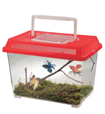 Insektenbox, geräumig mit Luftrillen, Tragegriff, 2 Stück