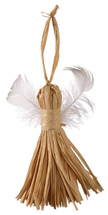 Naturbast Raffia, 5 Stück