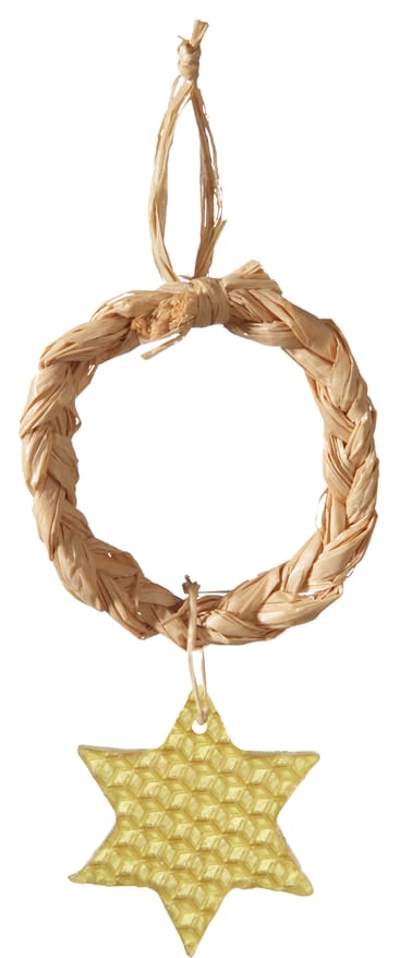 Naturbast Raffia, 5 Stück