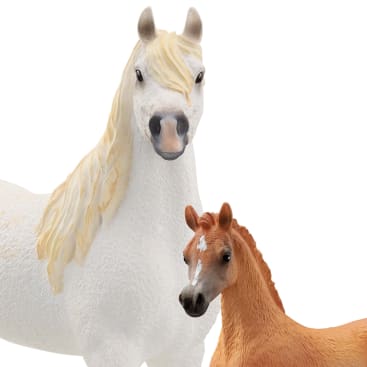 Ein weißes Pferd mit einer cremefarbenen Mähne steht hinter einem braunen Fohlen mit einem kleinen weißen Fleck auf der Stirn. Beide Tiere sind vor einem schlichten weißen Hintergrund nach vorne gerichtet.