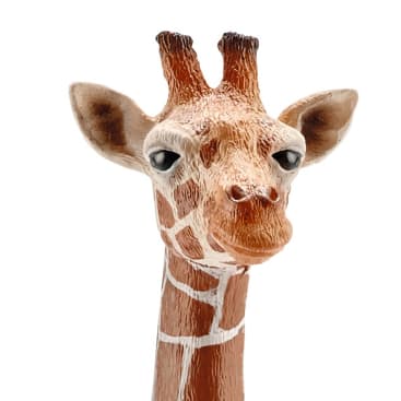 Nahaufnahme einer Giraffenfigur mit brauner und weißer Zeichnung, aufrechten Gehörknöchelchen und neutralem Gesichtsausdruck vor einem schlichten weißen Hintergrund.