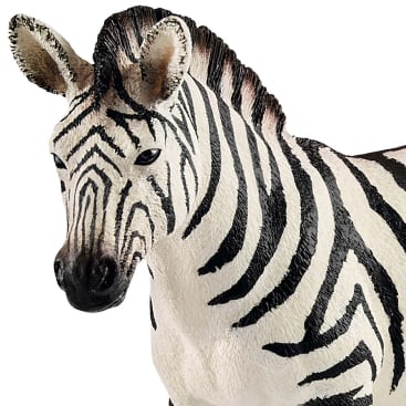Eine Nahaufnahme einer Zebrafigur mit schwarzen und weißen Streifen, aufrechten Ohren und detaillierter Textur im Gesicht und am Hals, vor einem schlichten weißen Hintergrund.