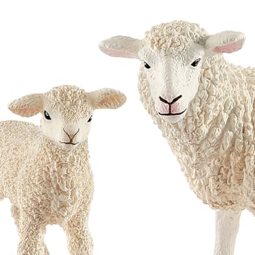 Eine Nahaufnahme von zwei Schafsfiguren, ein Erwachsener und ein Lamm, beide mit strukturierter weißer Wolle und rosafarbenen Innenohren, nach vorne gerichtet vor einem weißen Hintergrund.