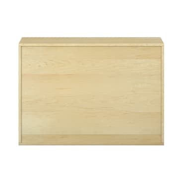 Ein rechteckiger Holzschrank mit einer hellen Holzoberfläche und einer flachen Frontplatte, dargestellt vor einem weißen Hintergrund.