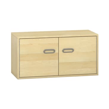 Pureo Doppeltürenschrank B100 x H50 x T42 cm