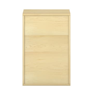 Rechteckiger Schrank aus hellem Holz mit schlichter, flacher Vorderseite und ohne sichtbare Griffe oder Verzierungen, fotografiert vor weißem Hintergrund.