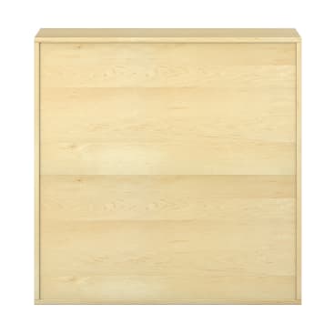 Ein heller, holzfarbener, rechteckiger Schrank mit flacher Oberseite und glatter Vorderseite, mit zwei horizontalen Platten und ohne sichtbare Griffe oder Verzierungen.