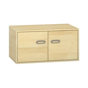Pureo Doppeltürenschrank B100 x H50 x T60 cm