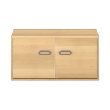 Pureo Doppeltürenschrank B100 x H50 x T60 cm