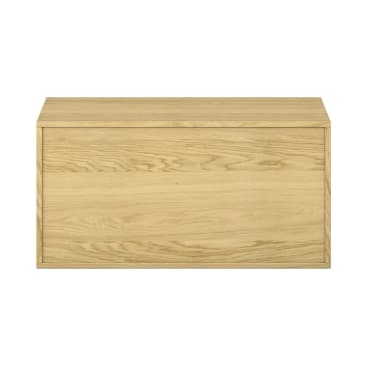 Pureo Doppeltürenschrank B100 x H50 x T60 cm