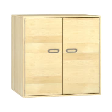 Schrank Doppeltüren 100/100/80cm