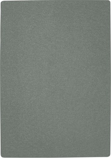 Bauteppich, Platingrau, 2 x 3 m