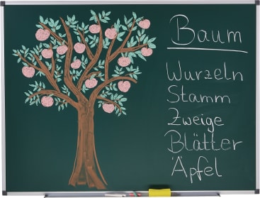 Wandtafel, B 90 x H 180 cm