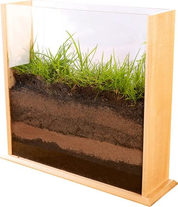 Eine transparente Vitrine zeigt einen Querschnitt von Bodenschichten, die mit grünem Gras bedeckt sind und von oben nach unten verschiedene Schattierungen und Texturen des Bodens erkennen lassen, eingefasst in einen Holzrahmen.