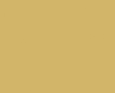Eine einfarbige hellgelbe oder beige Farbe füllt das gesamte Bild ohne sichtbare Muster, Texturen oder Objekte aus.