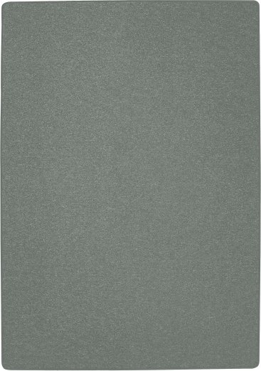 Bauteppich, Platingrau, 2 x 3 m