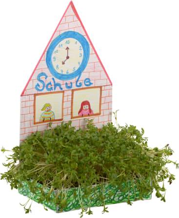 Ein kleines selbstgebasteltes Kunsthandwerk zeigt ein auf Papier gezeichnetes Schulgebäude mit einer Uhr, dem Wort Schule und zwei Kindern in Fenstern, hinter einem Beet mit grüner Kresse, die in einem Tablett wächst.