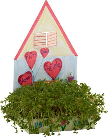 Eine kleine handgefertigte Hausdekoration mit roten Herzluftballons mit der Aufschrift Für Oma, Mama und Hilde steht hinter einem Tablett mit grünen Sprossen. Das Haus ist mit einem Fenster und einem rosa Dach bemalt.