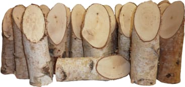 Birkenstämmchen, 20 Stück (1,5 kg)