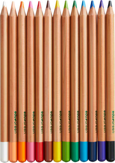 Ein Satz von zwölf Holzbuntstiften, die vertikal in einer Reihe angeordnet sind, mit verschiedenen Farben wie weiß, rot, rosa, orange, gelb, grün, hellgrün, blau, dunkelblau, braun, schwarz und lila.