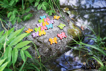 Bunte, schmetterlingsförmige Puzzleteile sind auf einem großen Felsen verstreut, der von Gras, Blättern und Wasser umgeben ist. Die Szene ist im Freien, mit Grün und Spiegelungen im Wasser.