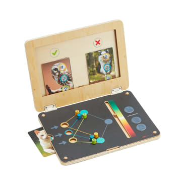 Ein Lernspiel aus Holz mit einer offenen Schachtel, die Tierkarten und ein Spielbrett mit farbigen Stiften zeigt, die durch Linien und Pfeile verbunden sind. Auf der rechten Seite des Spielbretts befindet sich eine farbige Schiebeskala.