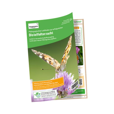 Eine Broschüre mit dem Titel Distelfalterzucht mit einer Nahaufnahme eines Schmetterlings auf dem Umschlag, mit bildungsbezogenem Text in Deutsch, Englisch und Französisch und einem teilweise sichtbaren Blatt mit Bildern und Informationen dahinter.