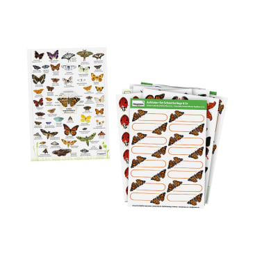 Zwei Sets mit illustrierten Aufklebern: ein Blatt zeigt verschiedene beschriftete Schmetterlinge und Insekten, die anderen Blätter zeigen Marienkäfer und leere Etiketten mit Schmetterlingsdekorationen.