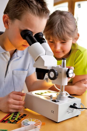 Ein Junge schaut durch ein Mikroskop, während ein Mädchen neben ihm zusieht. Sie sitzen an einem Tisch mit Mikroskop-Objektträgern und Werkzeugen. Beide Kinder wirken konzentriert und neugierig.