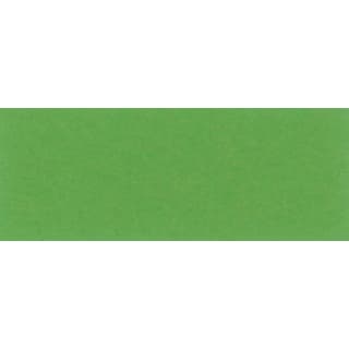 Fotokarton, grasgrün, 300g/m², 50 x 70 cm, 25 Bogen
