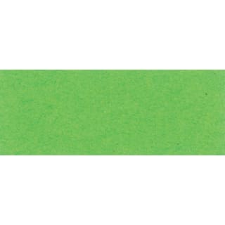 Fotokarton, hellgrün, 300g/m², 50 x 70 cm, 25 Bogen