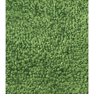 Teppich wiesengrün, 2 x 3 m