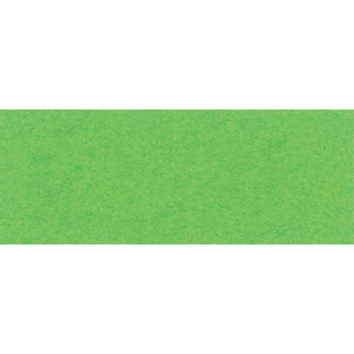 Fotokarton, hellgrün, 300g/m², 50 x 70 cm, 25 Bogen