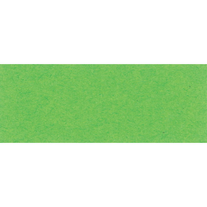 Tonkarton, hellgrün, 220 g/m²,50 x 70 cm,  25 Bogen